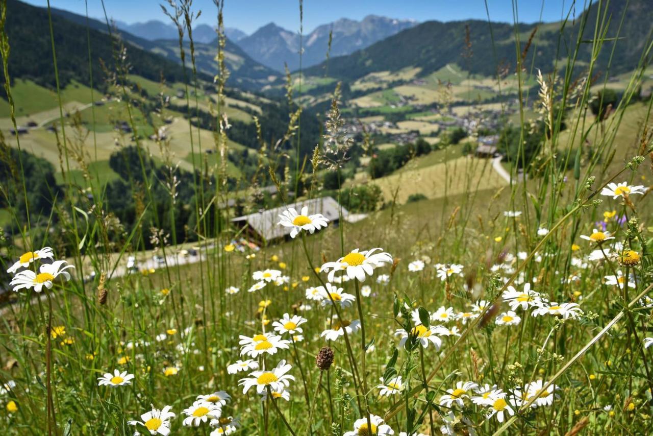 Haus Dorferstuck Apartment Alpbach Bagian luar foto